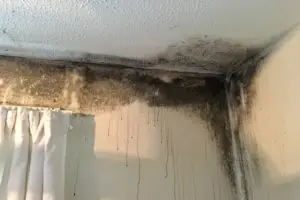 Condensation control - mould on wall and ceiling