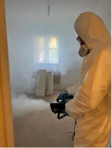 Mould treatment - Fogging