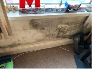 Photo of mould on wall
