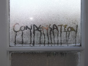 biocraft-condensation